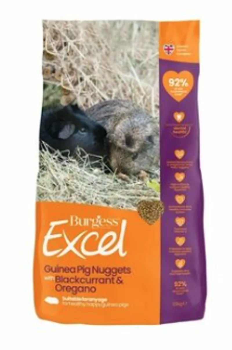 Excel Guinea Pig Blackcurrent 2KG